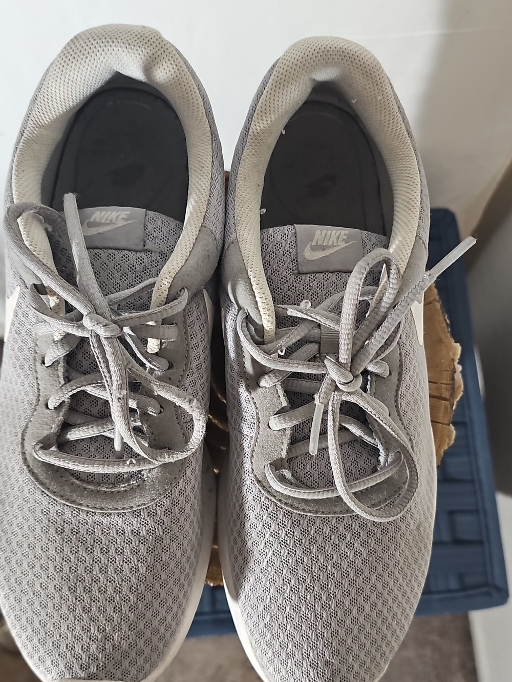 Nike Women Light Gray Mesh Sneakers